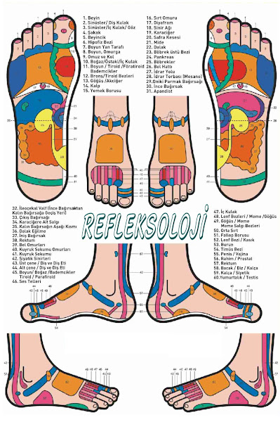 AYSA Life Terapi Merkezi - Refleksoloji Nedir?