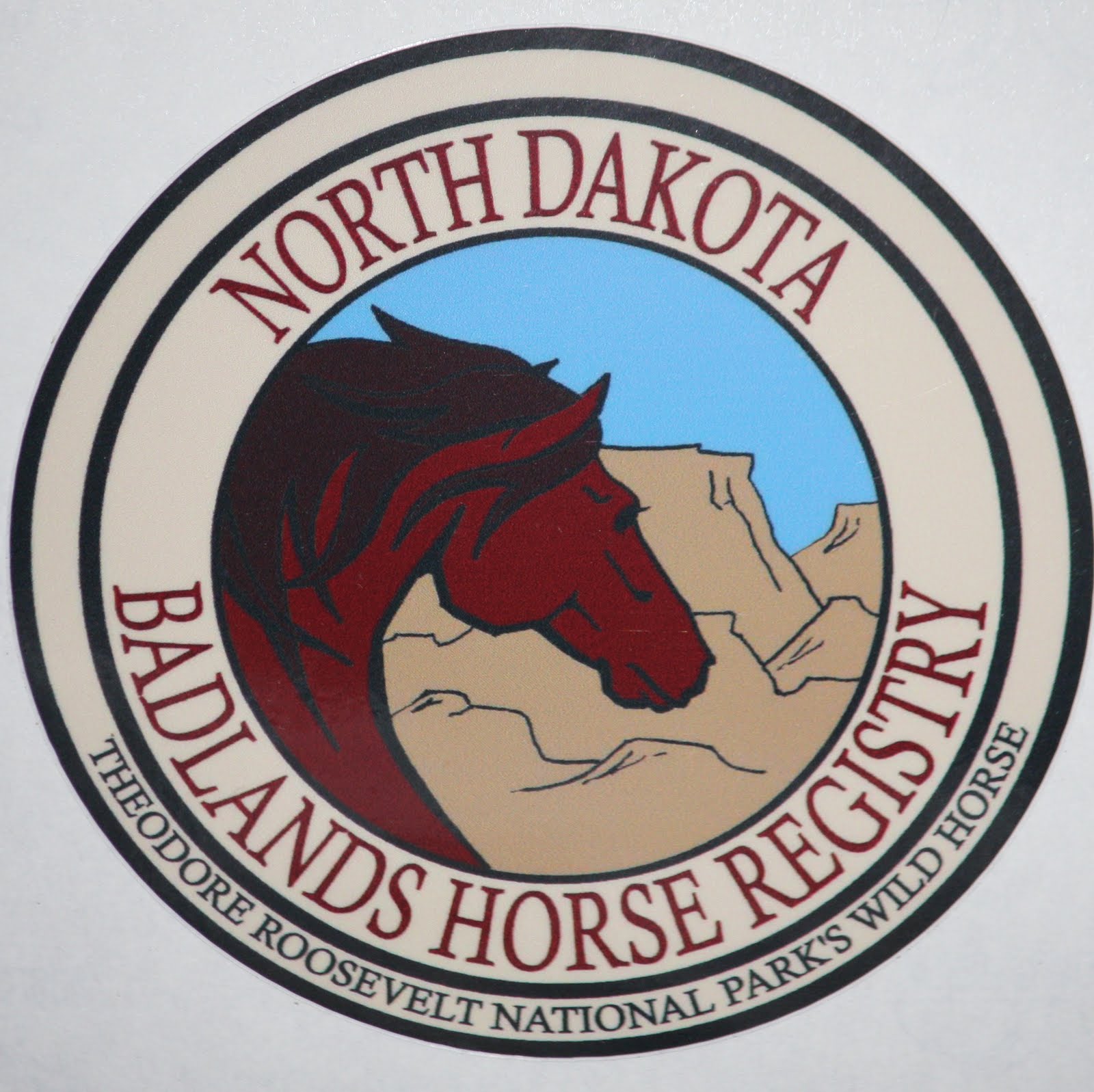 Wild Horses of T R N P The NORTH DAKOTA BADLANDS HORSE