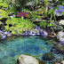 Wisata Alam DI Bandung Yang Instagenik