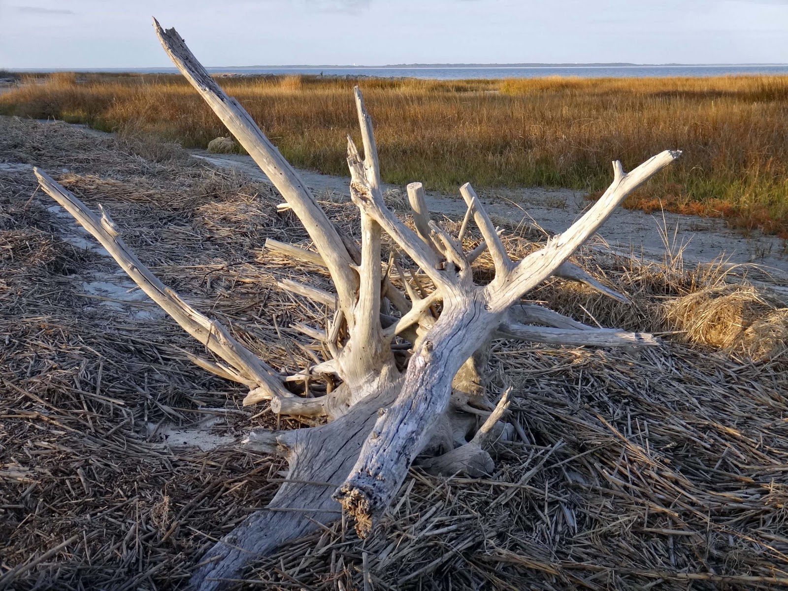 Joe's Retirement Blog Fish Haul Creek Salt Marsh, Hilton Head Island