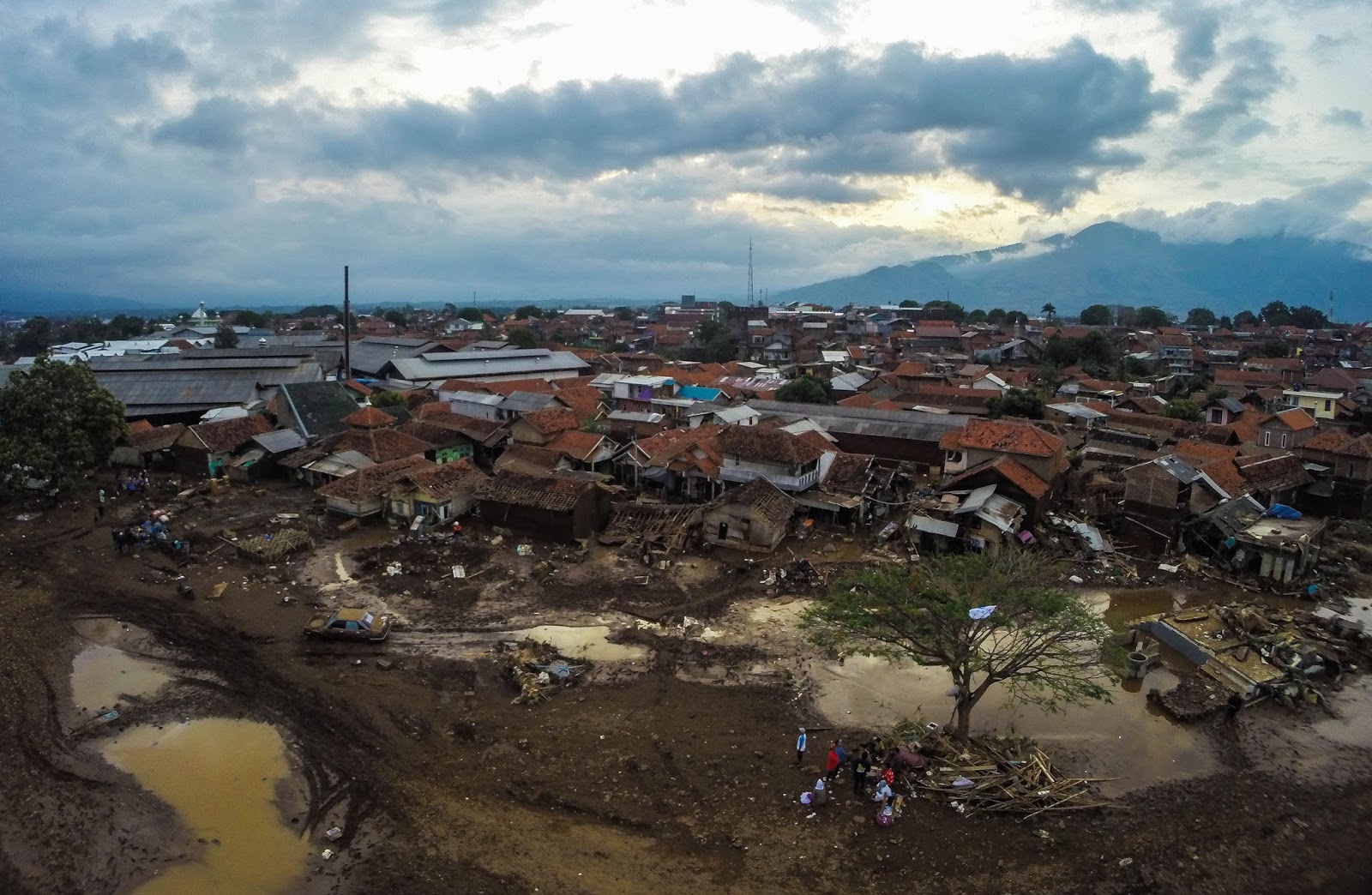 artikel banjir  wood scribd indo