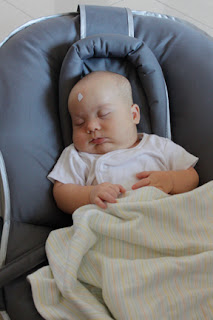 Sample essay net image