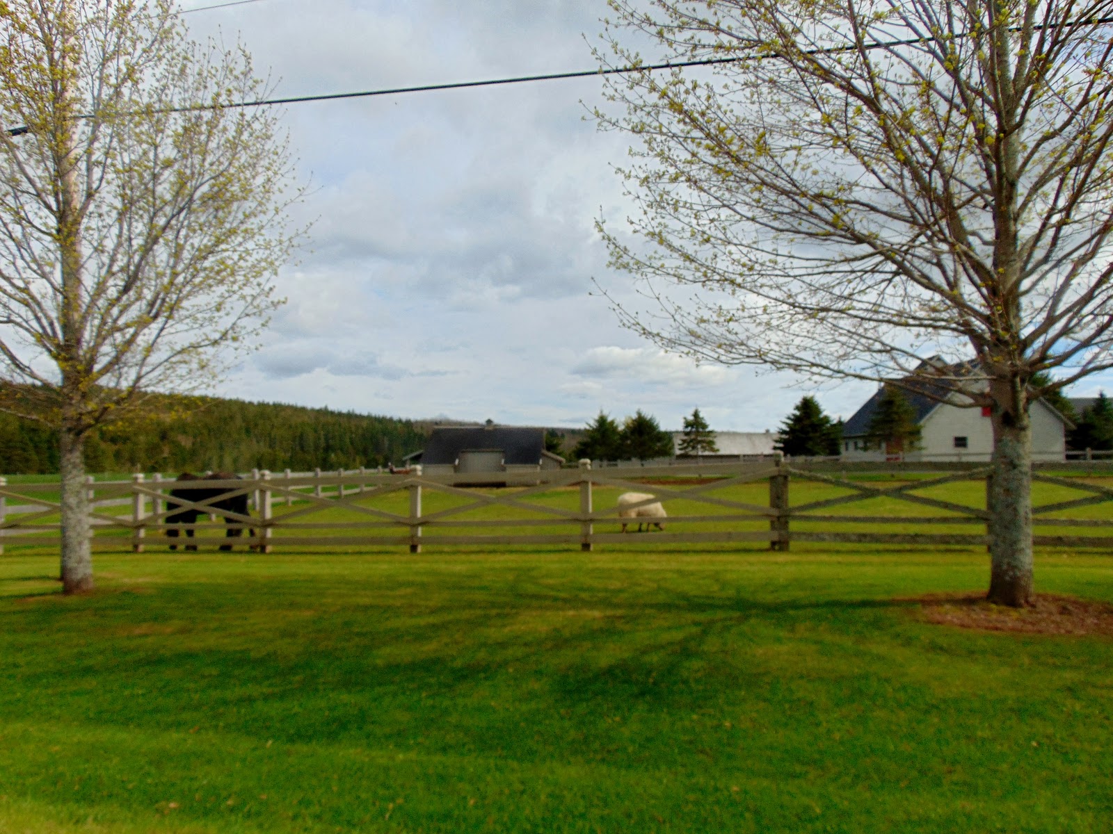 THE BLESSED HEARTH Spring in Rural New Brunswick, Ca...