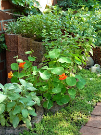 Kleine Freude Vom Stehlen Fur Sommerlust