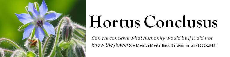  Hortus Conclusus