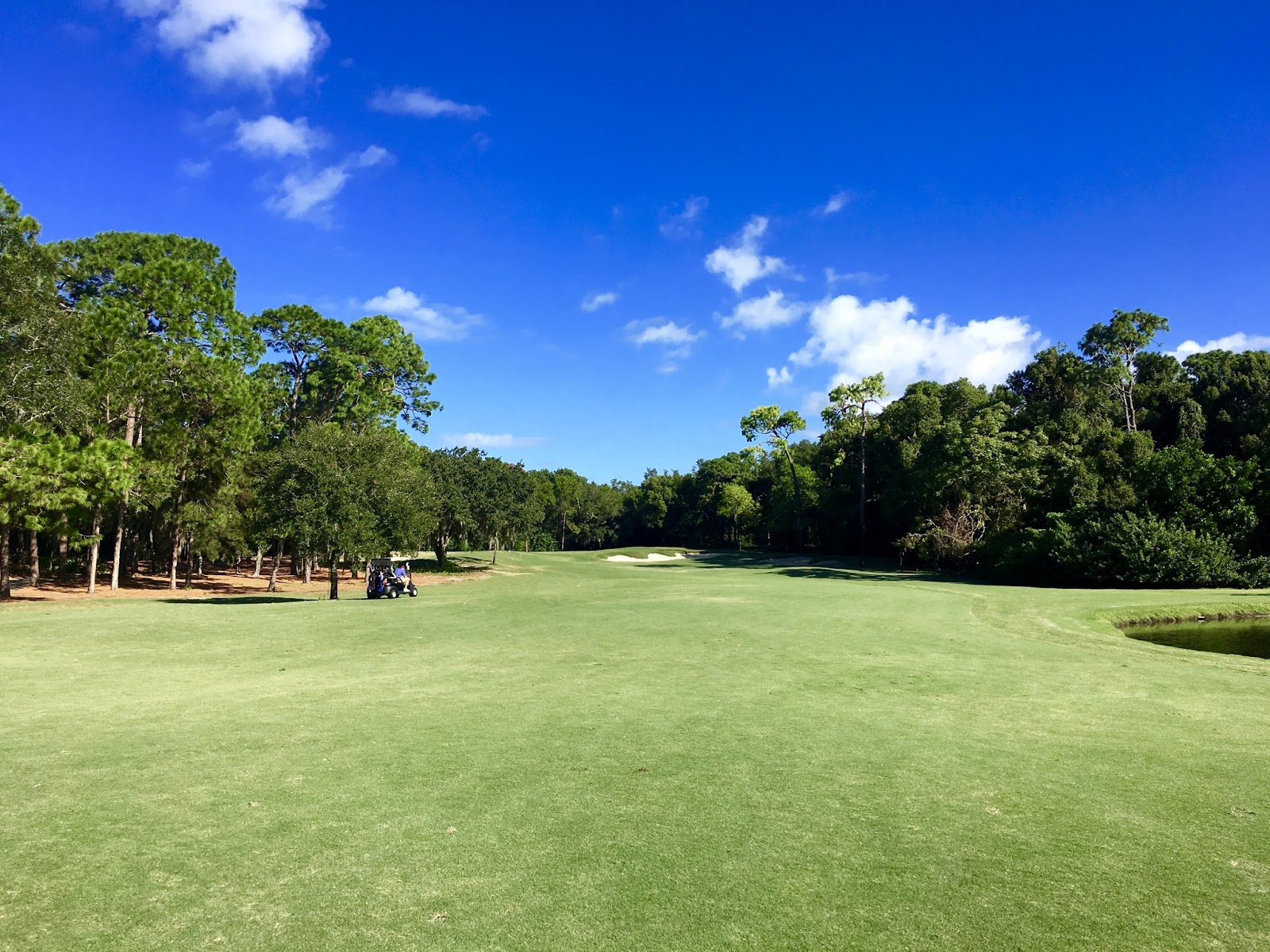 GREAT EATS HAWAII INNISBROOK GOLF RESORT COPPERHEAD COURSE