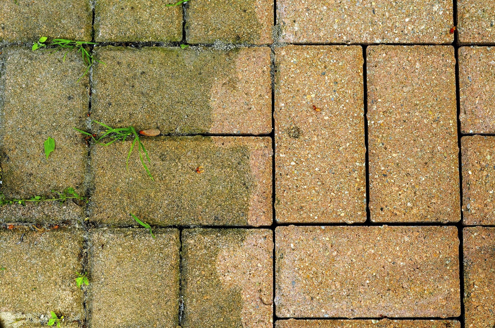 Stasi Brothers Official Blog How to Maintain Your Brick Patio