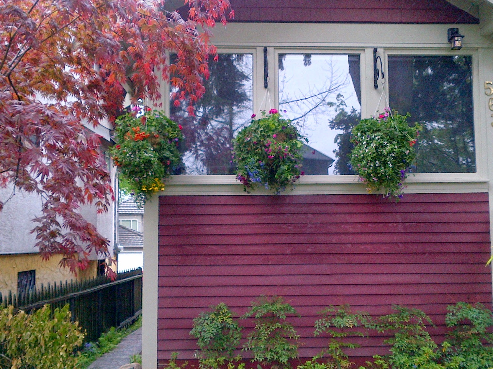 BLOOMERS BLOOM VANCOUVER HANGING BASKETS (604) 818 2819 CALL US. FREE DELIVERY. TAX INCLUDED