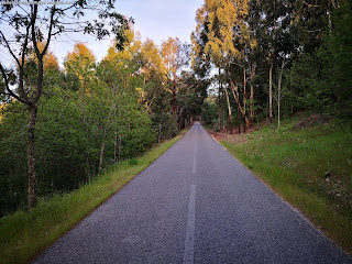 NATURE VIEWS / Fotografias de natureza, Castelo de Vide