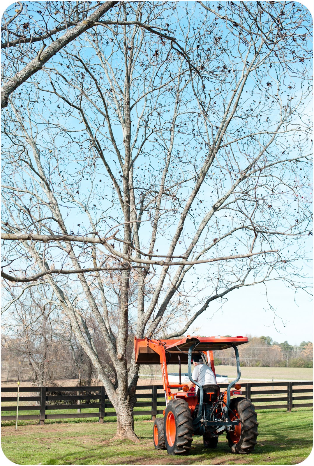 eyes to see southern pecans.
