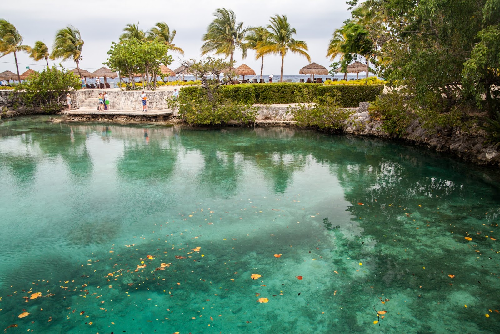 cozumel chankanaab park