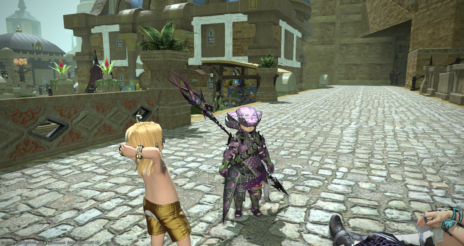 A Tank and a Healer. Fat chocobo head