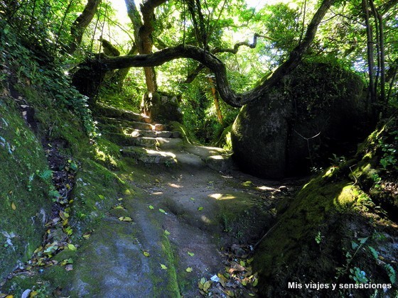 Terrenos del Convento dos Capuchos, Sintra, Portugal