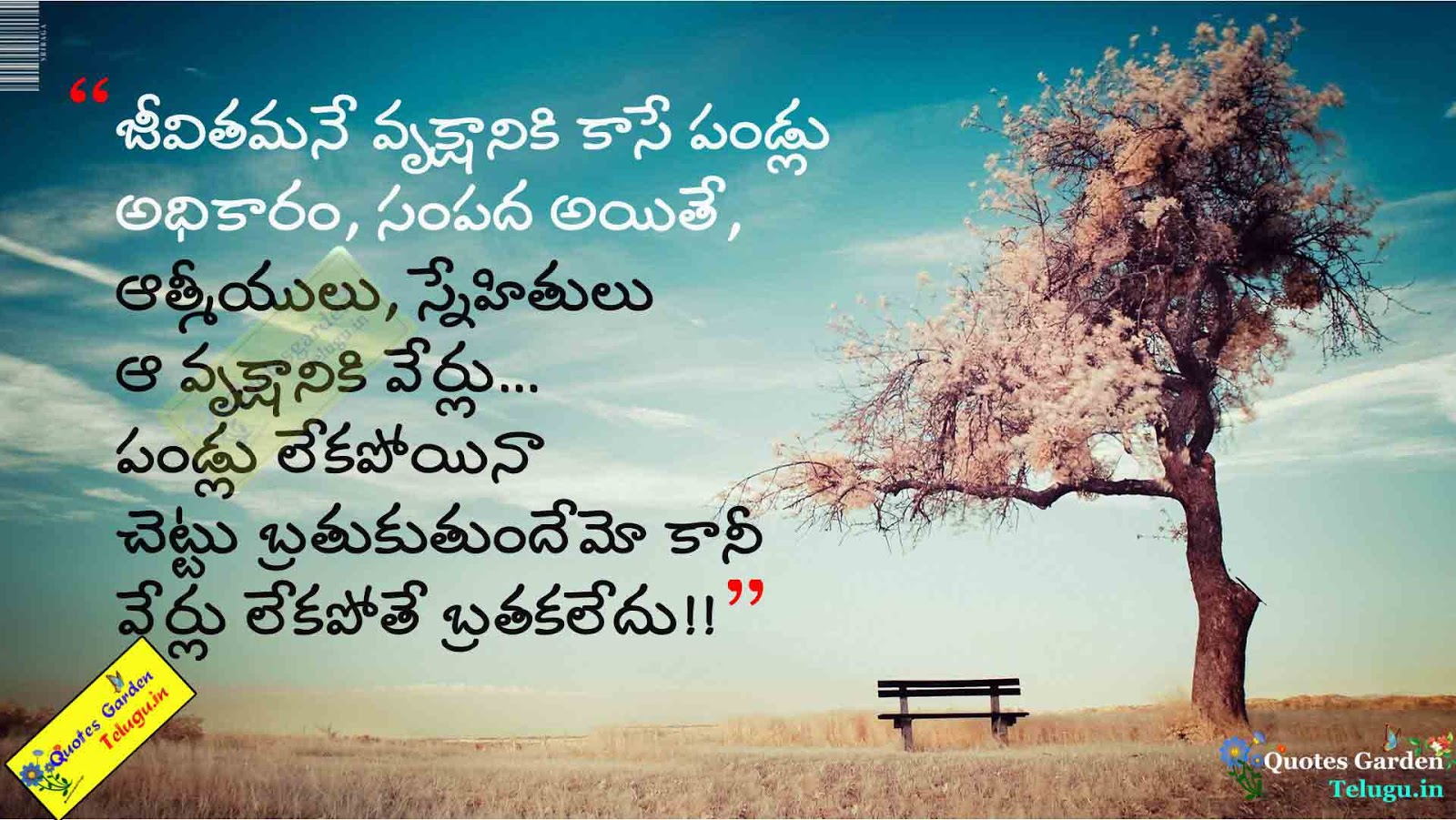 Best friendship quotes in telugu 794 | QUOTES GARDEN TELUGU | Telugu