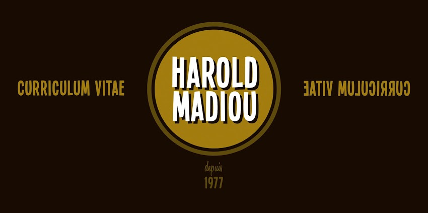 HAROLD MADIOU / curriculum vitae
