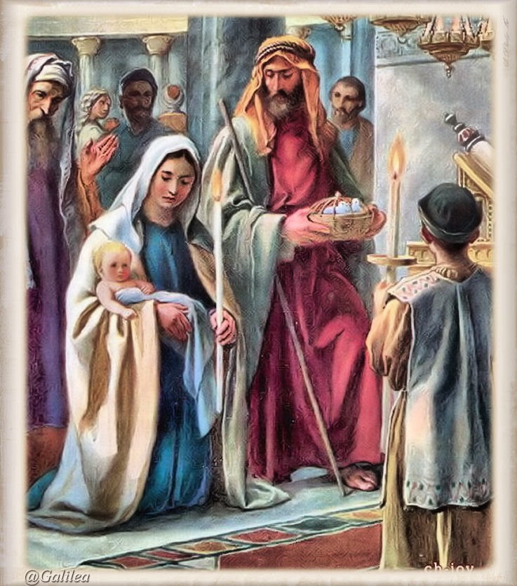 Santa María, Madre de Dios y