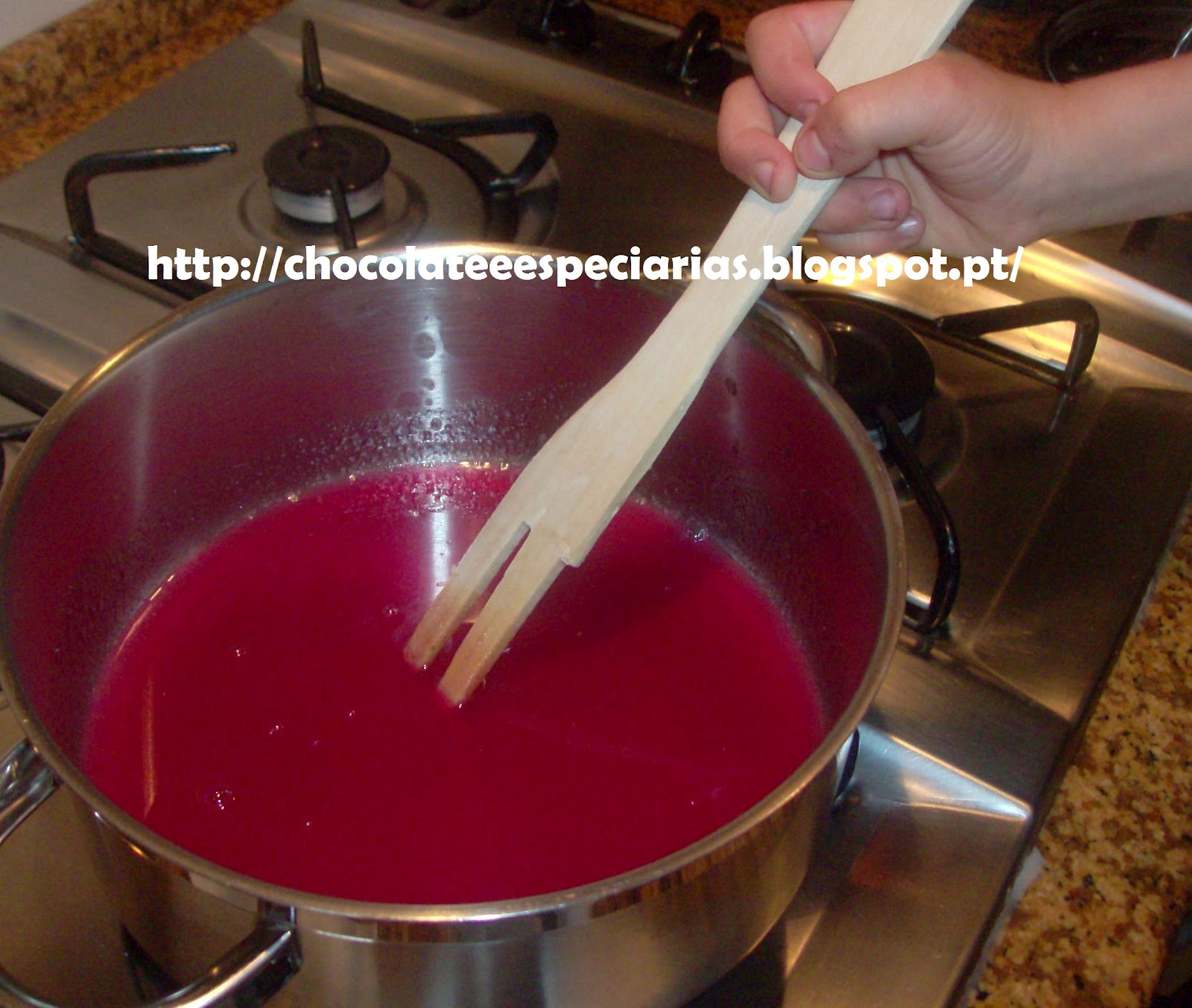 Chocolate & Especiarias GOMAS DE FRUTA / FRUIT GUMS