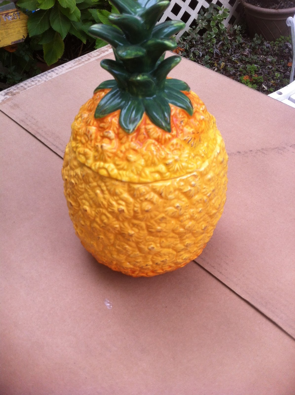 mollie's mom Pineapple Jar DIY