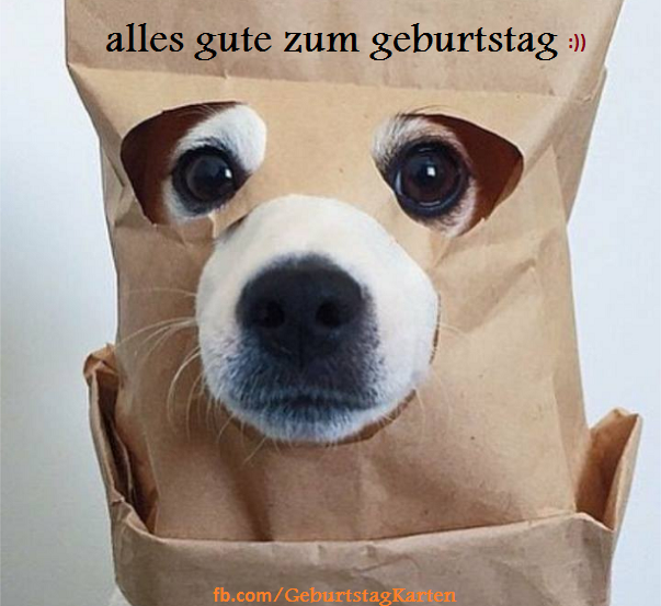 Hund interessant Geburtstagskarte Geburtstagsgrüße Birthday Greeting