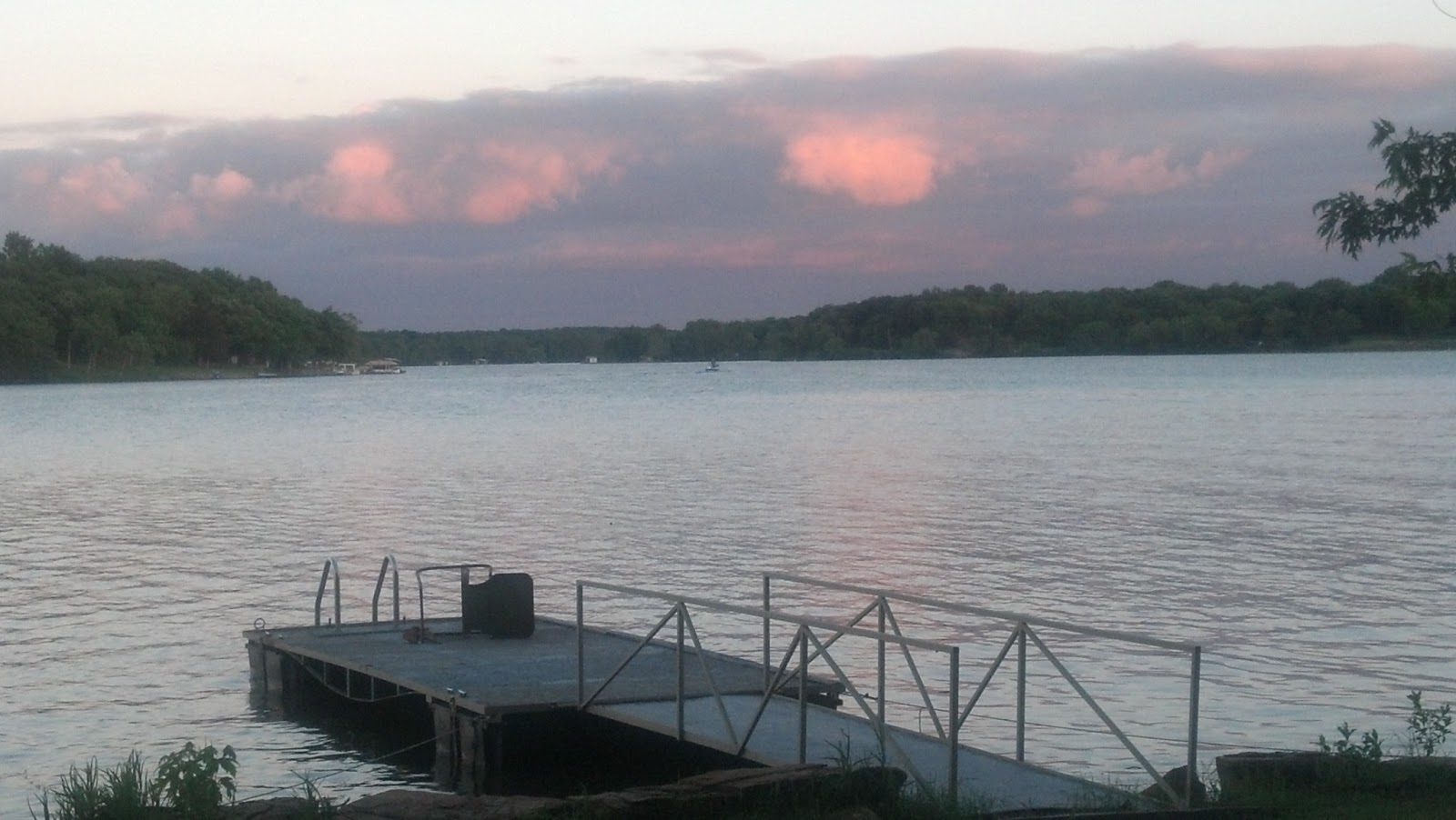 Life, the Universe, and a Few Things Less Fauna at the Lake Fort Scott