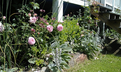 HAVETERAPI: Terrassen & terrassebedet