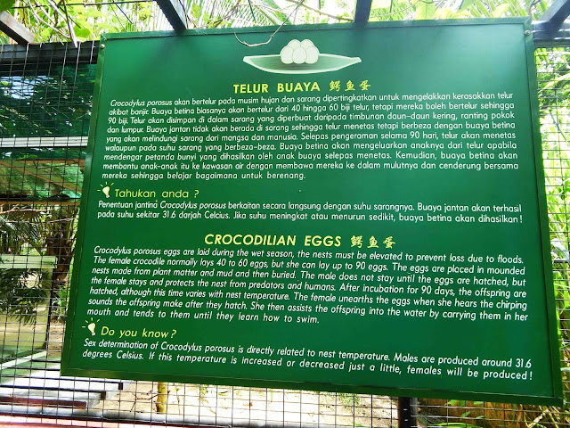 Percutian Di Taman Rama-Rama Melaka Part 