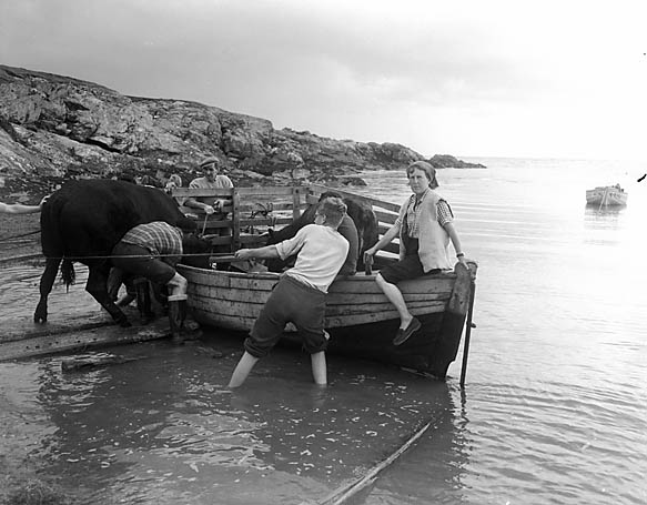 Transport of Wales in The 19th Century ~ vintage everyday