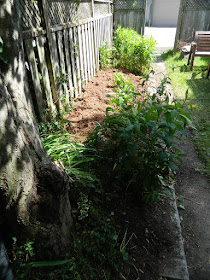 Riverdale Toronto back yard garden clean up after by Paul Jung Gardening Services