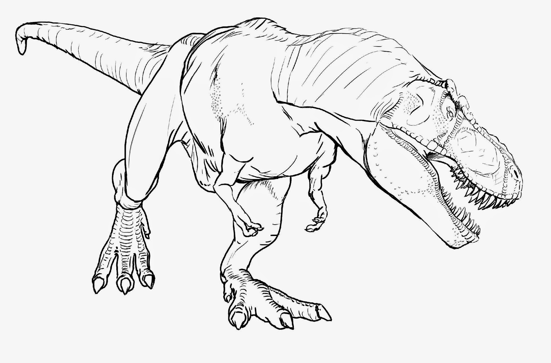 Download Coloring Pages Dinosaurs T Rex - 297+ SVG PNG EPS DXF in Zip File for Cricut, Silhouette and Other Machine