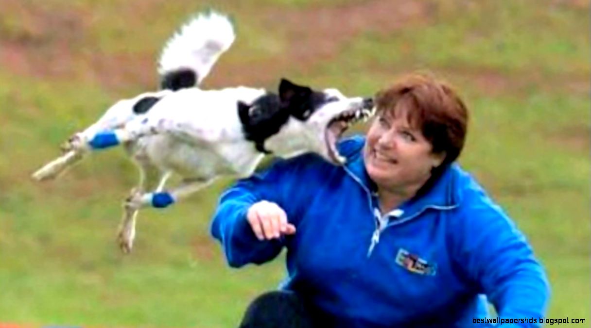 Funny World Juni 2013