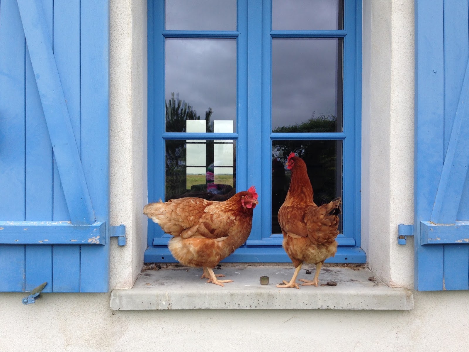 Yves-Noël Genod, le dispariteur: Jun 21, 2016 Yves-Noël Genod, le dispariteur: Jun 21, 2016