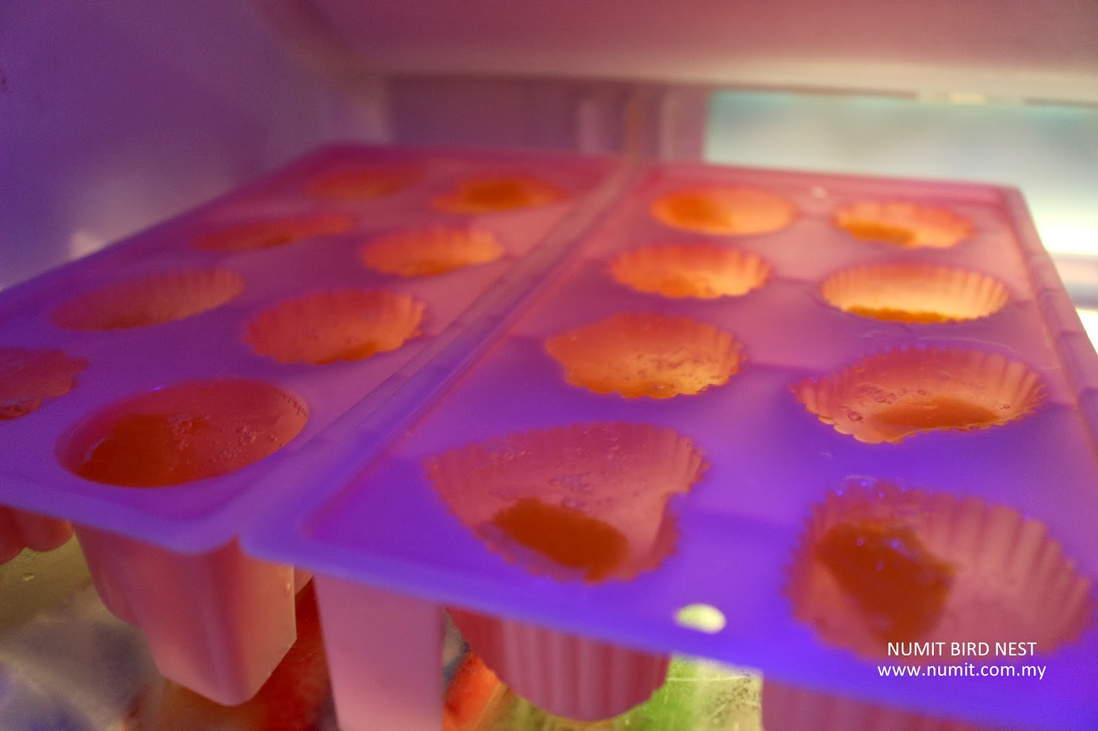 NUMIT Bird Nest 浓密燕窝 BIRD's NEST ORIGINATED FROM TAIPING, MALAYSIA