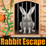 Games4King Rabbit Escape 3 Walkthrough