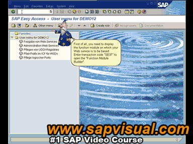 [www.sapvisual.com - SAP Simulator preview]