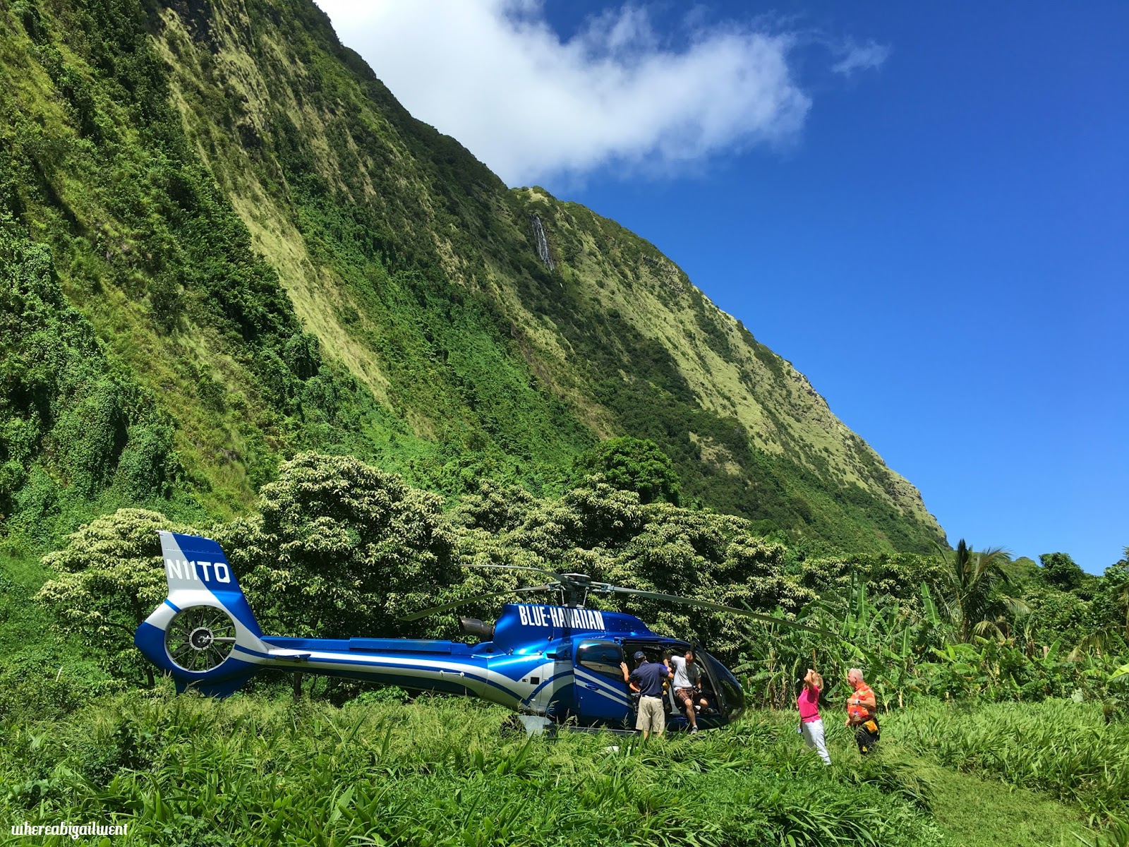 Helicopter Over Hawaii Blue Hawaiian's Big Island Tour Where Abigail