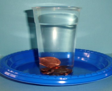 Learning Ideas - Grades K-8: How Many Drops of Water Can Fit on a Penny?