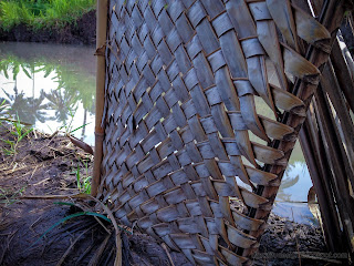 Woven Coconut Leaves That Have Dried In The Rice Fields At Ringdikit Village, North Bali, Indonesia