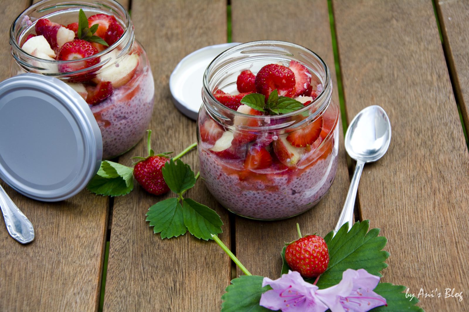 veganer Erdbeer-Chia-Pudding mit Kokosmilch - Ani&amp;#39;s bunte Küche