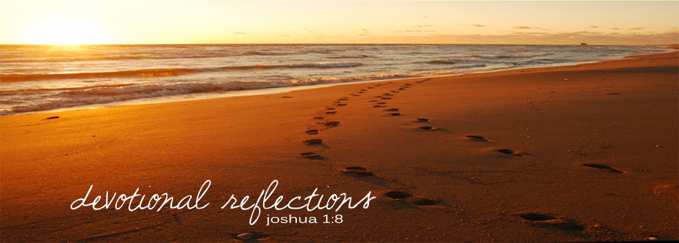 Devotion Reflections: Romans 3:9 20