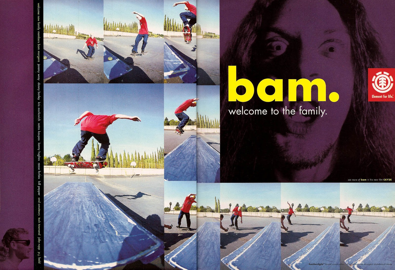 Vert Is Dead Bam Margera 4.