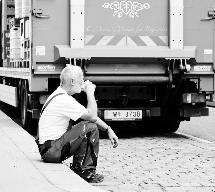 Merisi's Vienna for Beginners Coffee BreakViennese Moments