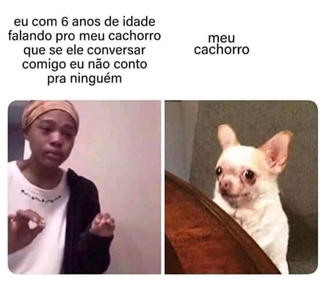 Memes+engra%25C3%25A7ados++%252819%2529.