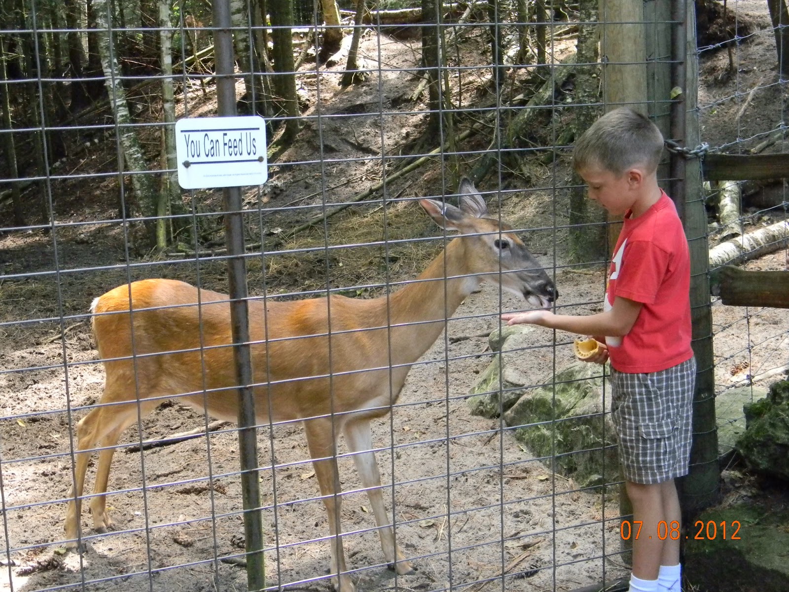 Eastern Upper Penninsula Sites to see GarLyn Zoo