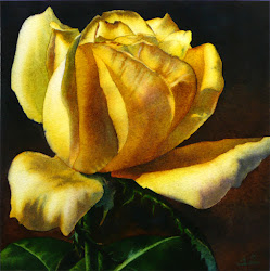 yellow rose watercolor roses painting paintings paint canvas paper flower finished shawn arena cold press fine dailypaintworks