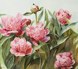 watercolor peonies peony rusty harden watercolors flower flowers painting watercolour colours
