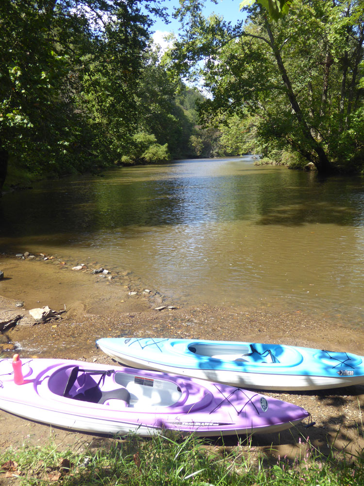 The Enchanted Tree Kayaking on Big Reed Island Creek