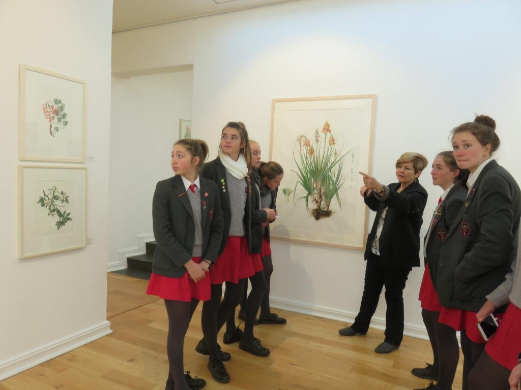 Botanical Artists Association of Southern Africa May 2018