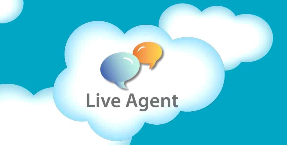 Salesforce live chat