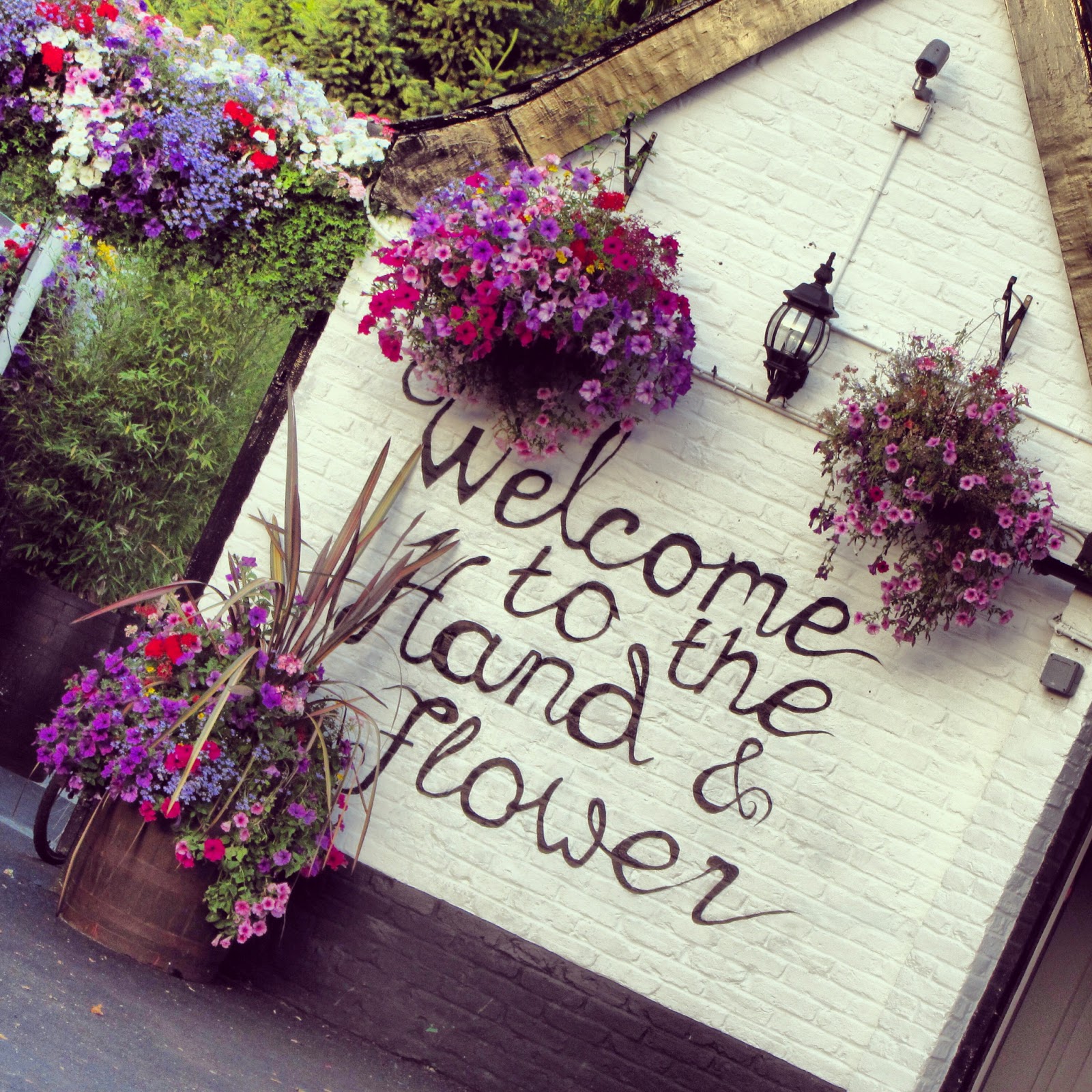 Ham Photos to the Hand and Flowers