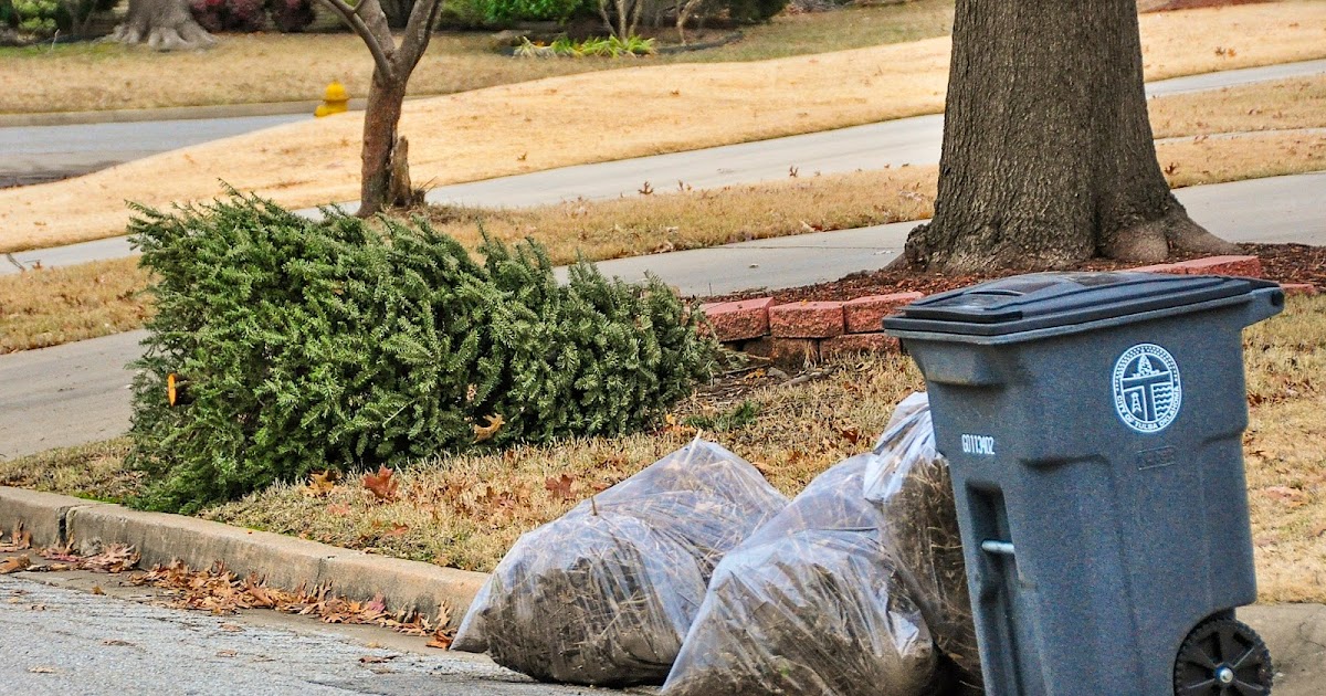 Ask A Master Gardener Options for Disposal of Christmas Trees